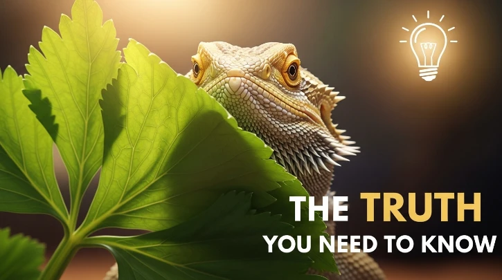 Can Bearded Dragons Eat Celery Leaves? The Truth You Need to Know