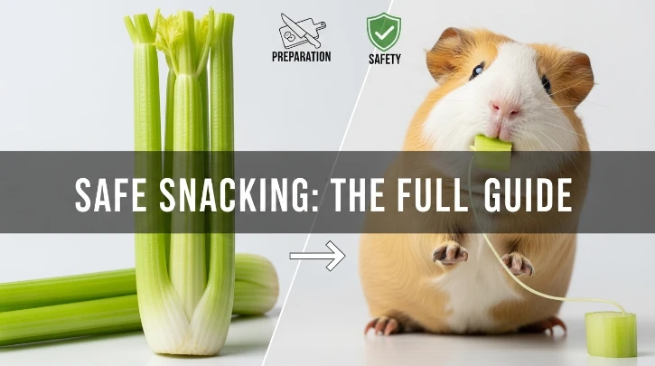 Do Guinea Pigs Like Celery? The Full Guide to Safe Snacking