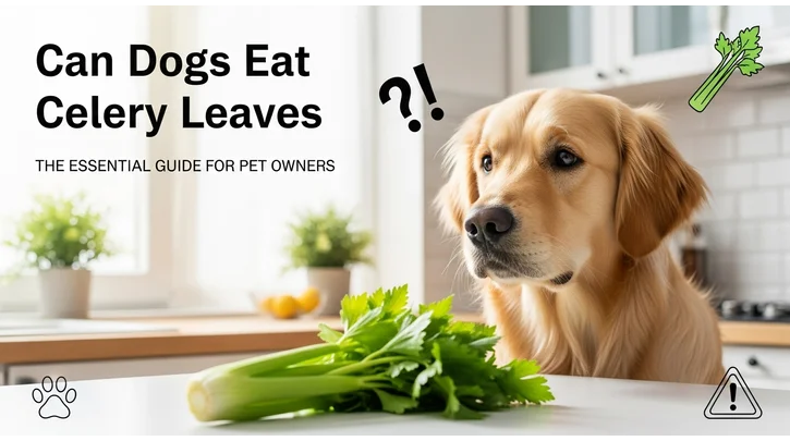 Can Dogs Eat Celery Leaves The Essential Guide for Pet Owners