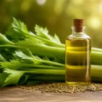celery essential oil uses