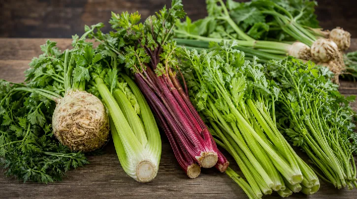 types of celery